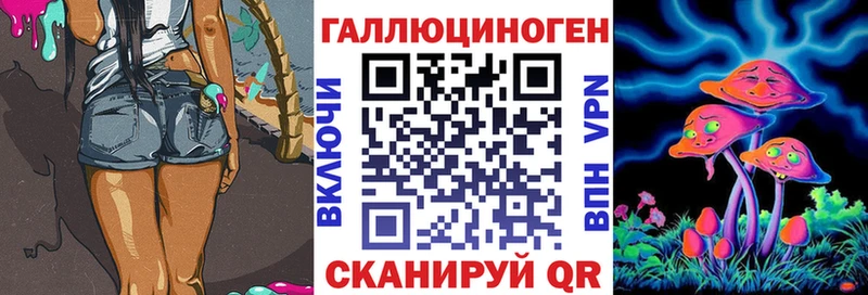 где найти наркотики  Вытегра  Псилоцибиновые грибы MAGIC MUSHROOMS 
