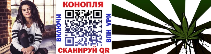 Конопля индика  Вытегра 